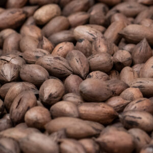 Whole Pecans grown by Yon Family Farms