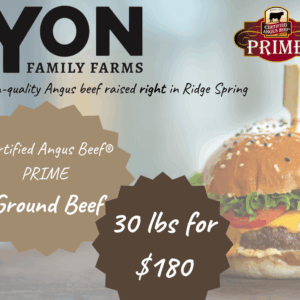 Ground Beef - Stock Up & Save