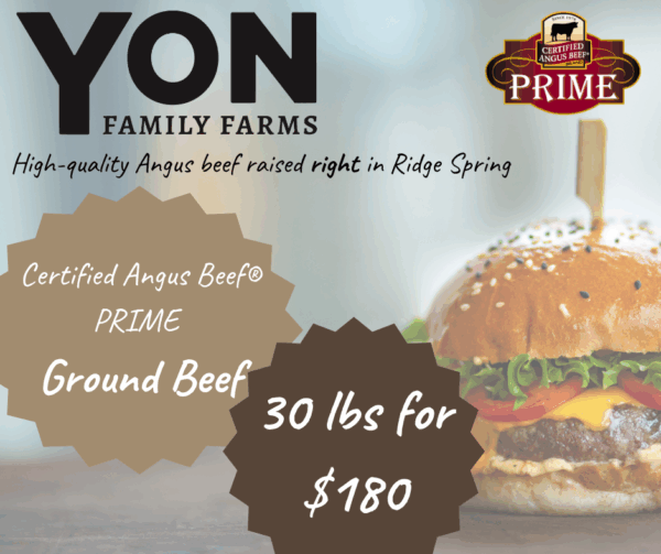 Ground Beef - Stock Up & Save