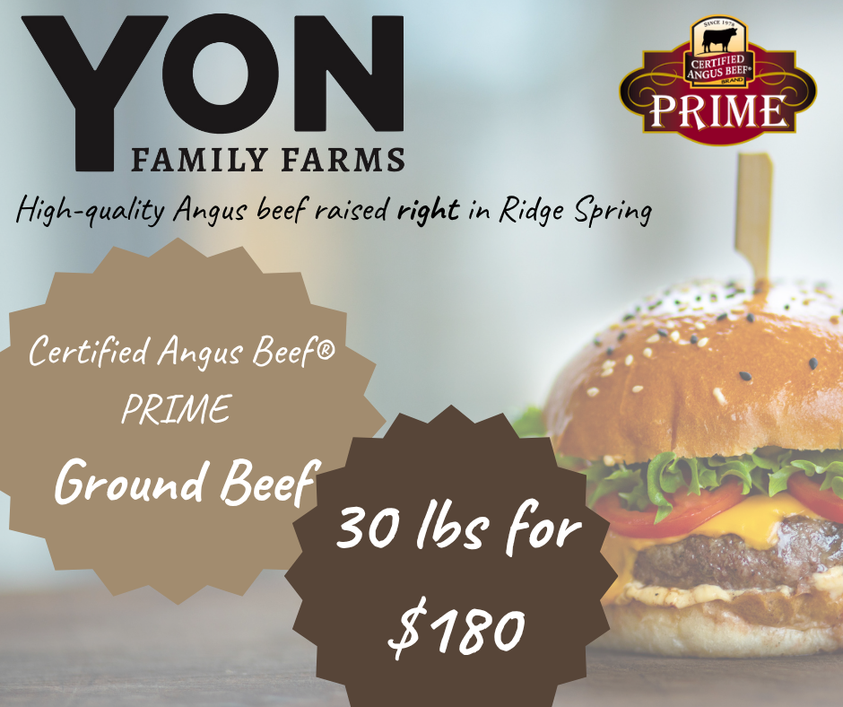 Ground Beef - Stock Up & Save